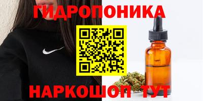 шишки Ливны