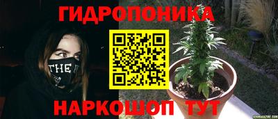 марихуана Лесосибирск